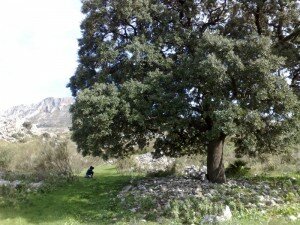 Momentos de gran belleza antes del cara a cara con La Bestia km29