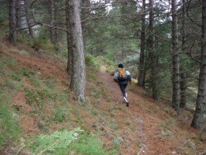 Sendas de ensueño nos esperan km35