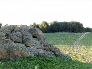 Los restos de la Bestia avisan al caminante! km19