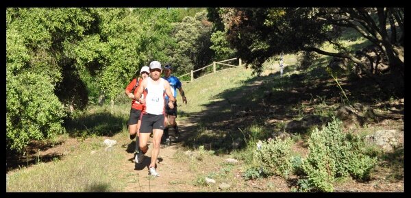 ANIMAL TRAIL 2010_Blog3 Runners